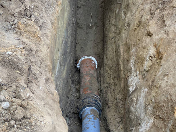 Best Local water damage restoration  in Delta, UT