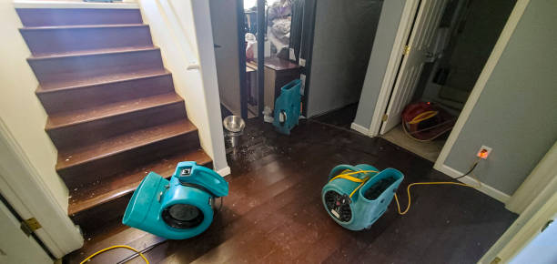 Best Fire Damage Restoration  in Delta, UT
