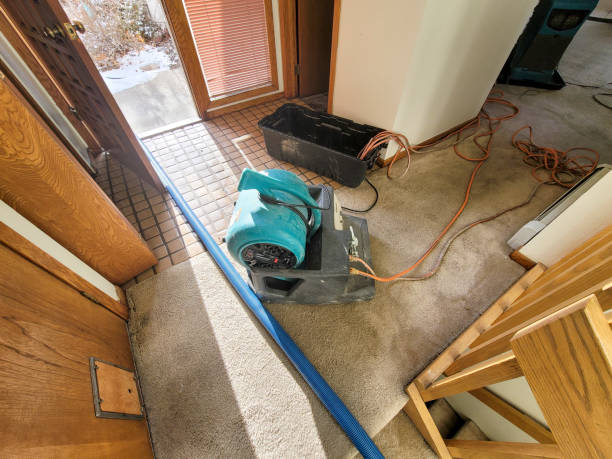 Best 24-hour water damage restoration  in Delta, UT