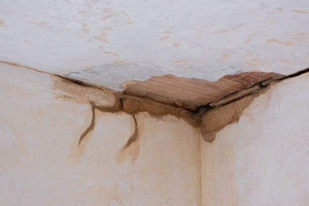 Best Residential water damage restoration  in Delta, UT