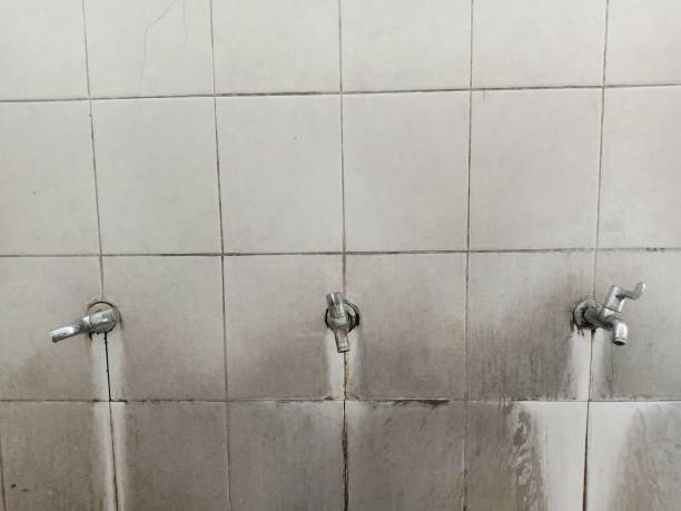 Best Sewage cleanup and water damage restoration  in Delta, UT